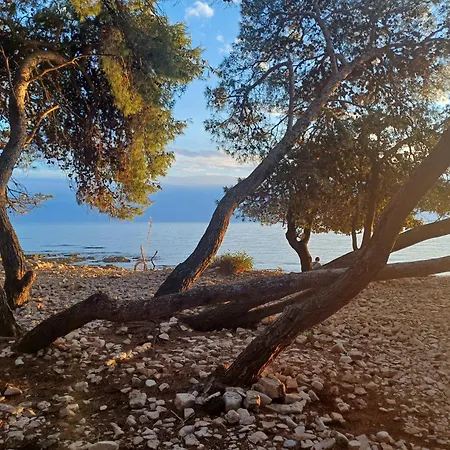 Bistra Istra *